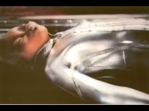 Alien Zeta reticuli by : Bob Lazar,Shirley Maclaine and of course Betty and Barney Hill(abductees)