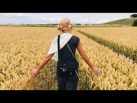 ASMR Crop Circle Walk