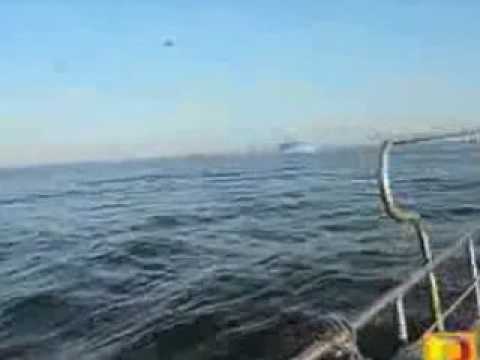 Caccia  figher della Nato intercettano ufo in Spagna? (Slow-motion) HOAX