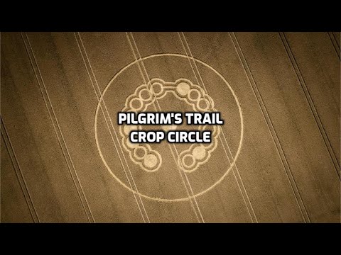 Crop Circle – Pilgrim's Trail, Nr Winchester, Hampshire – 12/07/22