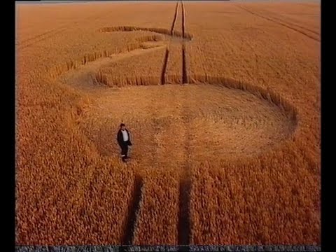 Crop Circle Theories