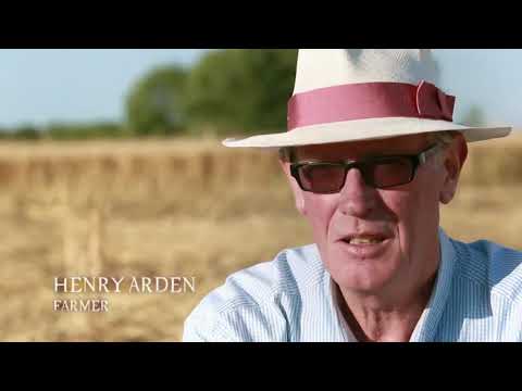 Crop Circles: A Modern Mystery | Earth Signs from Above