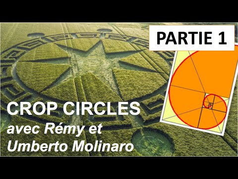 CROP CIRCLES : Science / Ressenti / Spiritualité / Message de Crabwood – Umberto Molinaro