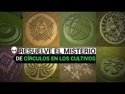 Descifrar el cifrado en los Crop Circles   mensaje misterioso
