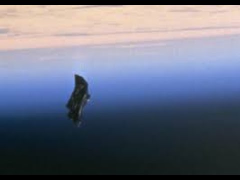 ET-Alien Satellite Orbiting Earth! The 'BLACK KNIGHT' Sat of 1998 NASA Image! The Message! Complete!