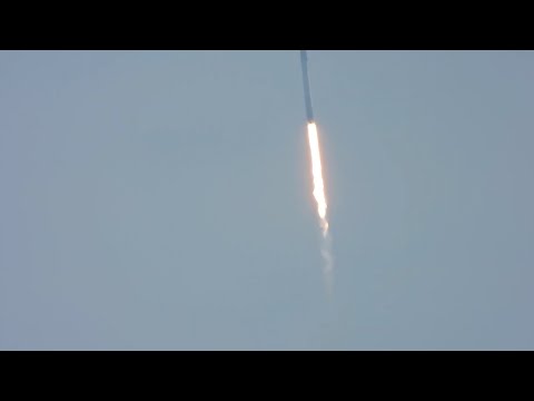 Finding beauty in the strange, the strange and beautiful but a beautiful estranged stranger