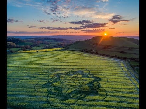 Hunt for genuine crop circles