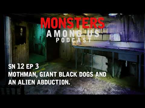 MOTHMAN, GIANT BLACK DOGS, ALIEN ABDUCTION, TRUE PARANORMAL STORIES
