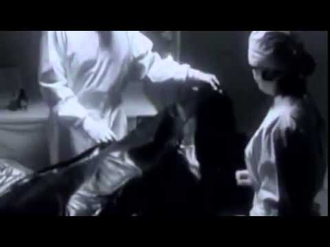 Mystery of the Roswell! UFODocumentary Films!