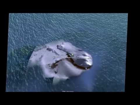 Nasa announced the latest in 2016   Nasa satellite detected ufo and aliens from space shocking