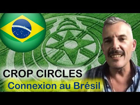 OVNIs / Coronavirus / Notre-Dame / Triangle France-Brésil-Canada / Crop Circles de 2019 et 2020