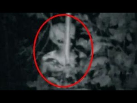 Roswell UFO Vakası, Perde Arkası ve Uzaylının Otopsi Görüntüleri | Belgesel