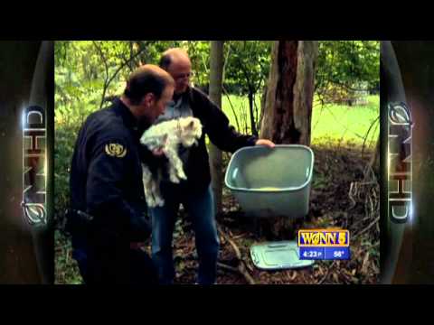 Small Town's UFO Scare Revealed To Be Alien Hoax (Season 1: Ep 8 on IFC)