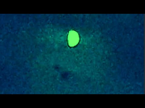 THE HOLOGRAPHIC MOON – Time Loop Chronicles #3