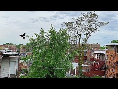 UFO SIGHTING 2022!!!!! 955 IT WAS A GLOOMY RAINY MORNING BUT THE UFO WAS STILL THERE