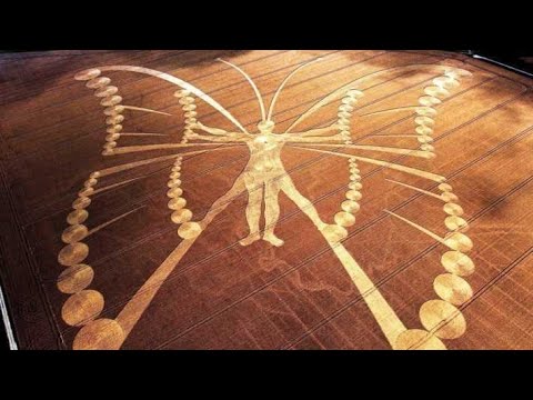 UFO: THE STORY OF CROP CIRCLES. Леденящий ужас