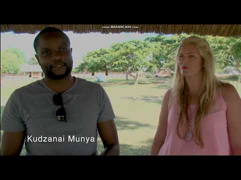 Zimbabwe Ariel school, 1994 UFO and Alien Sighting